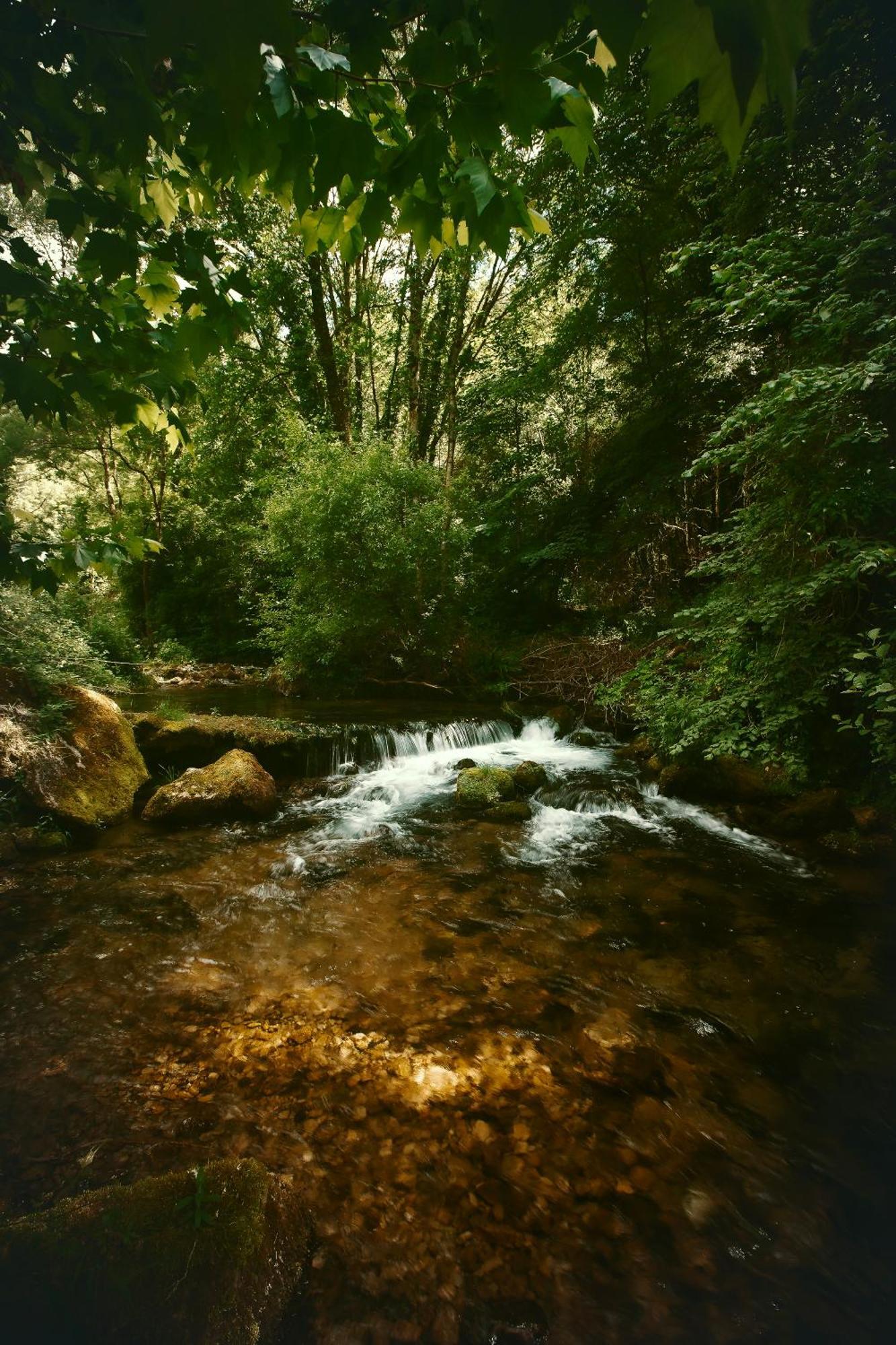 Le Chateau De Sorgues Cornus Exteriér fotografie